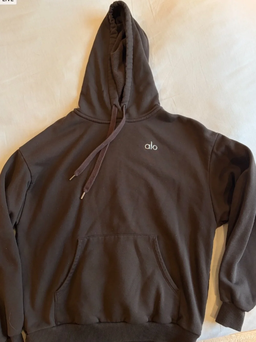 Alo Brown Accolade Hoodie